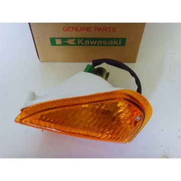 Intermitente Kawasaki ZZR 600 - Imagen 1