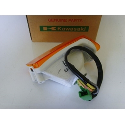 Intermitente Kawasaki ZZR 600 - Imagen 2