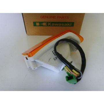 Intermitente Kawasaki ZZR 600 - Imagen 2