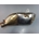 Silenciador escape Honda CB 600 F - Imagen 2